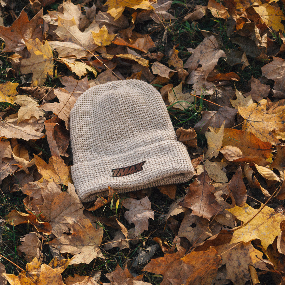 Light-colored TMax Birch knit beanie with a cuff patch lying on autumn leaves